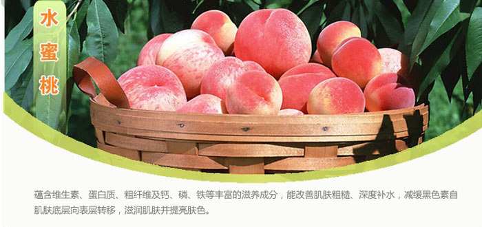 水蜜桃滋養(yǎng)潤(rùn)白亮膚霜 50g