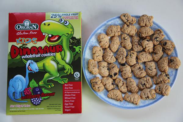 澳洲野梅味兒童無(wú)敏恐龍水果餅干