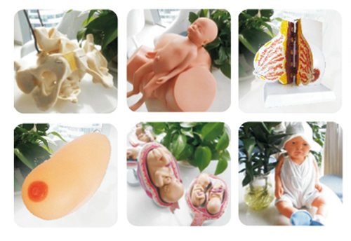 快樂孕育孕婦學校教學用具