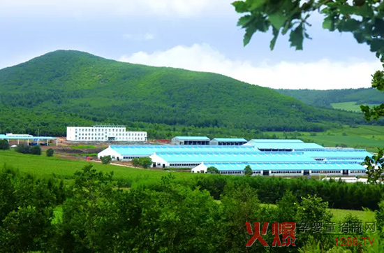 l(f)չ(sh)w(jng)(j)_(d)ɽЄ(dng)