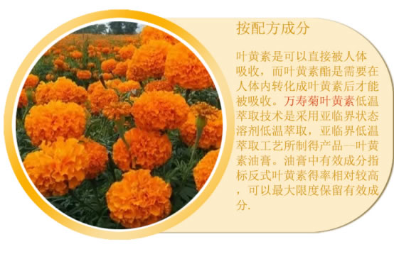 鑫琦.jpg 鑫琦.jpg