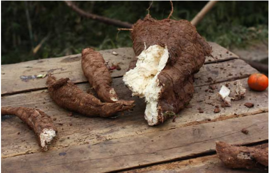 20239121628577225.jpg 20239121628577225.jpg