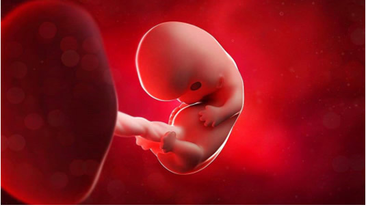 202312261716285212.jpg 202312261716285212.jpg