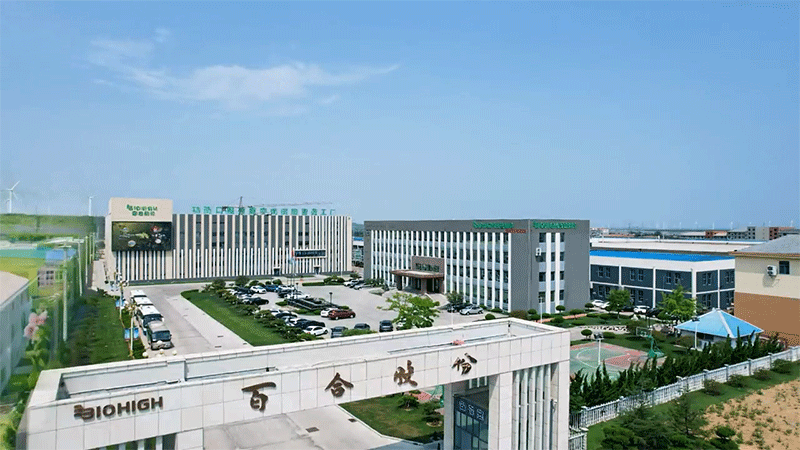 ȫٺϿG܊м8ܹSȫҕ