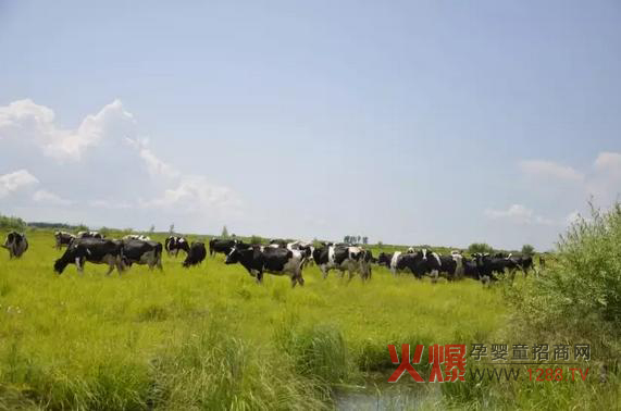 _(d)ɽ̷۞Ε(hu)ܵ@ô˵ϲ