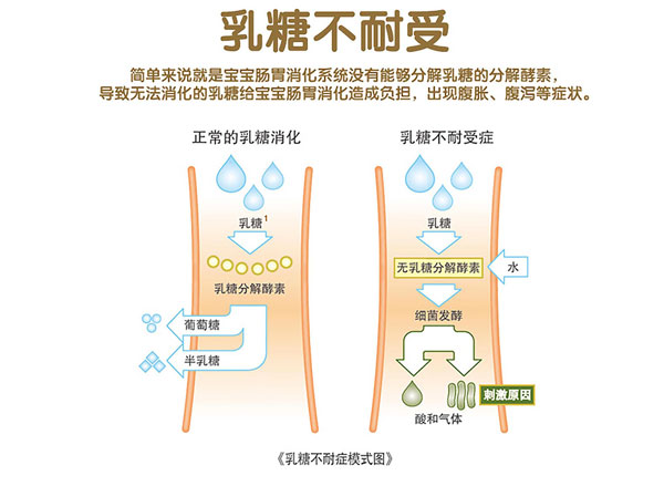 乳糖不耐受介紹.jpg