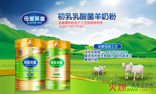 (zhn)pʮһu(ji)ҪĸӢ̷ͯ@ӵĺîa(chn)Ʒ