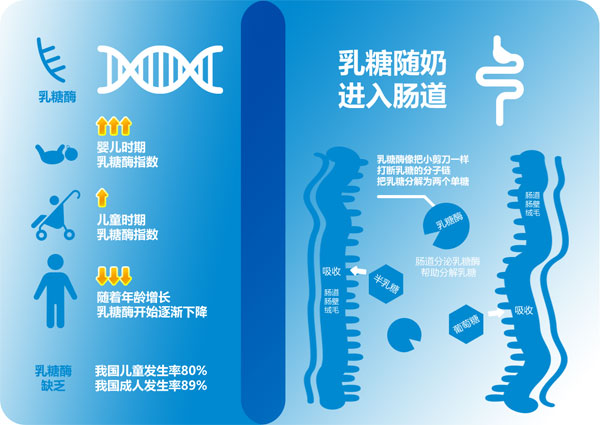 茁躍無(wú)乳糖調(diào)制奶粉介紹6.jpg