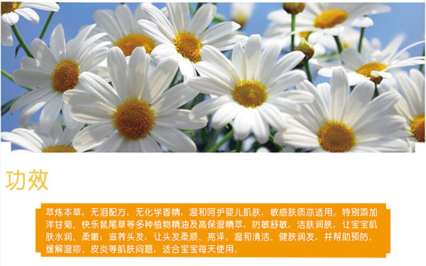 洋甘菊gongx作用.jpg 洋甘菊gongx作用.jpg