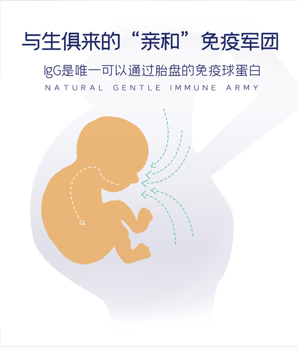 皮斯博士乳鐵蛋白有機調(diào)制乳粉8.jpg
