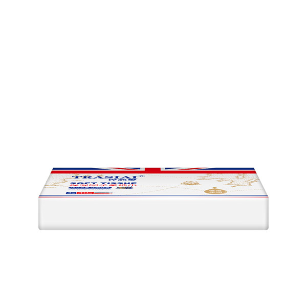 詮芯愛柔紙巾-40�.jpg 詮芯愛柔紙巾-40�.jpg