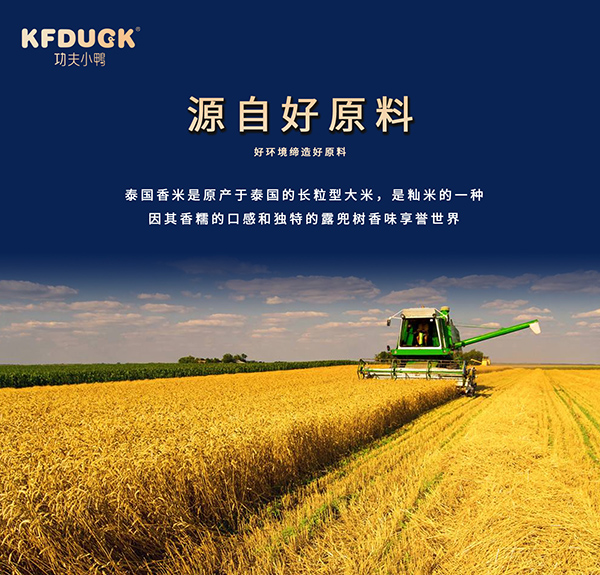 功夫小鴨嬰幼兒營養(yǎng)粥