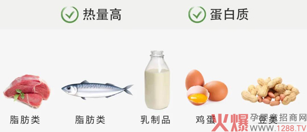 LOUVRERm؛ | ôԲź@һƪ͉