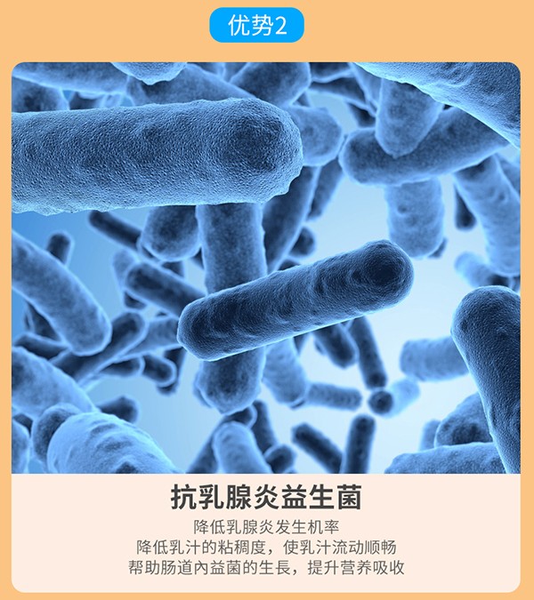 媽媽必慧龍大豆磷脂固體飲料 活菌型詳情 (10).jpg