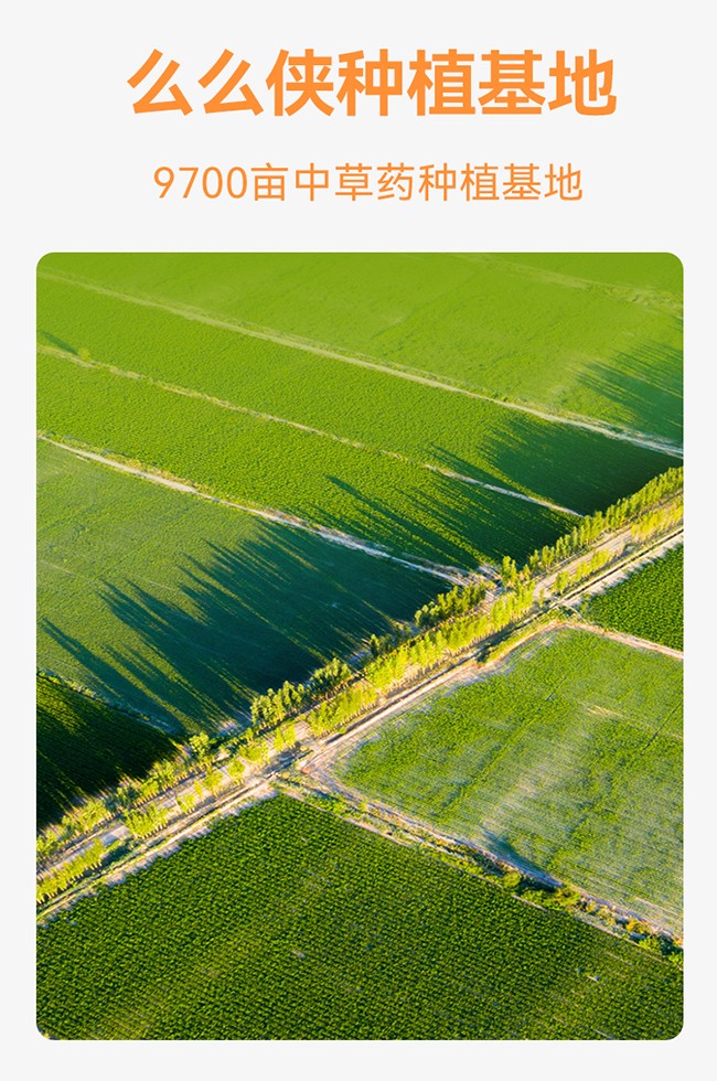 么么俠小兒敷貼 (8)