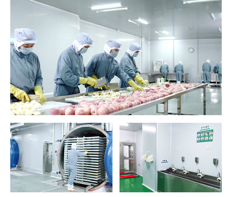 海底世界造型餅干 (12).jpg