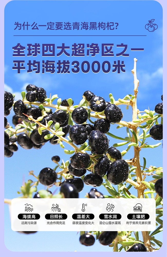 呀啦嗦黑果枸杞詳情 (2).jpg