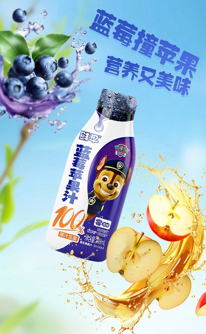 248-汪汪隊(duì)--藍(lán)莓蘋果汁-詳情頁_04.jpg