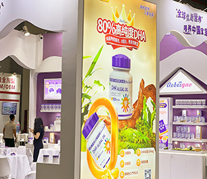  ΢ňDƬ_20250326115548