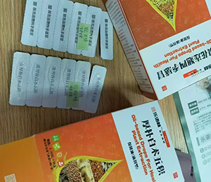  ΢ňDƬ_20250425143210