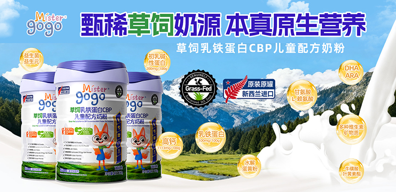 Mister gogoM(jn)ڃ̷ͯ.jpg