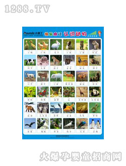 С@D-J(rn)R(sh)(dng)