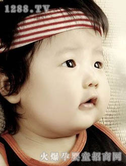 L(fng)܇(ch)ʹĵ(li)