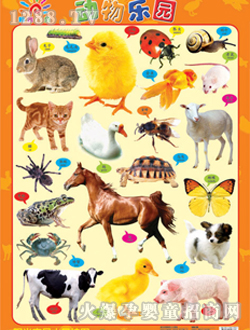 (yng)⌚ؐ(dng)@D