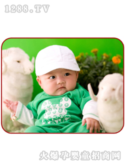 С�լ��������0055