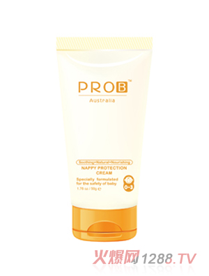 PROB���׋냺�o�θ�